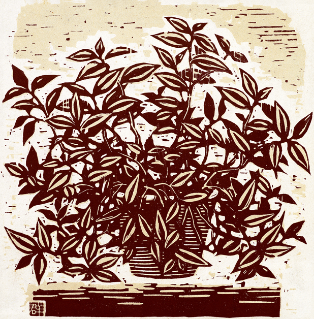 Ⱥ¶ݡ25.224.8cm1956