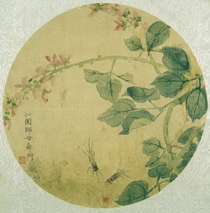 󰡷2424cm1906